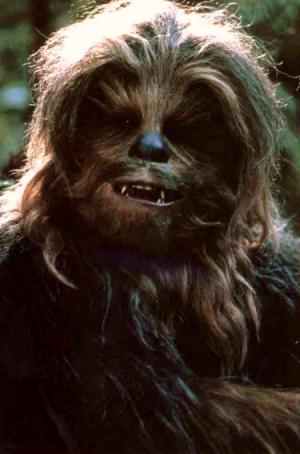 http://www.frazerruddick.com/images/chewbacca.jpg